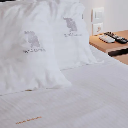 Anerada Hotel Kalavryta Room photo